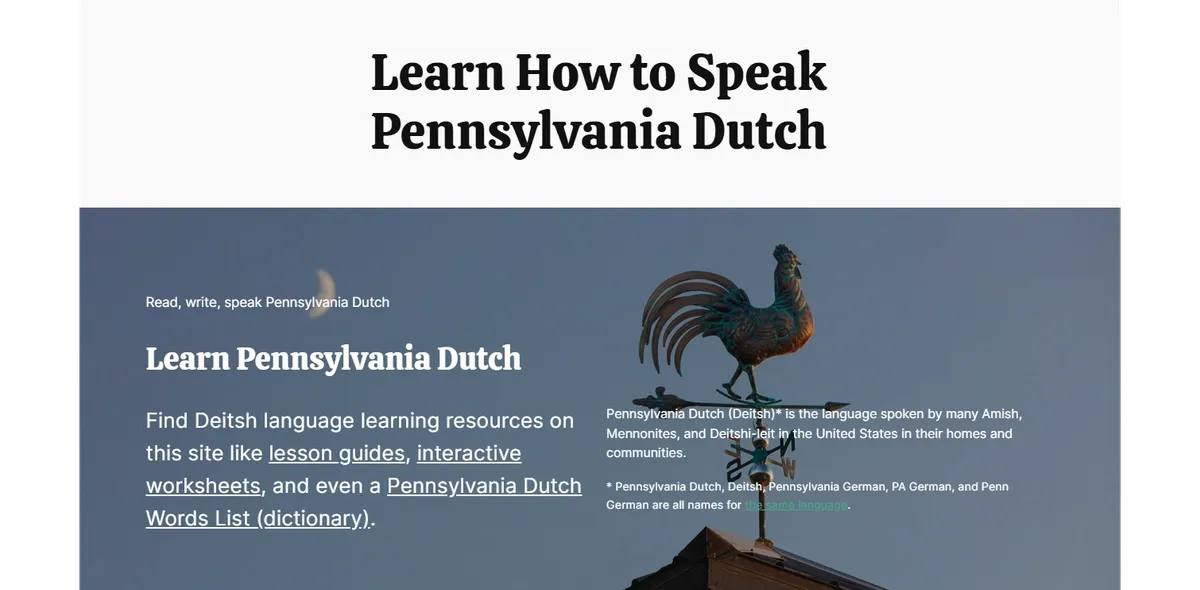 An image of the Learn Dutch website